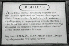 Irish-Dick